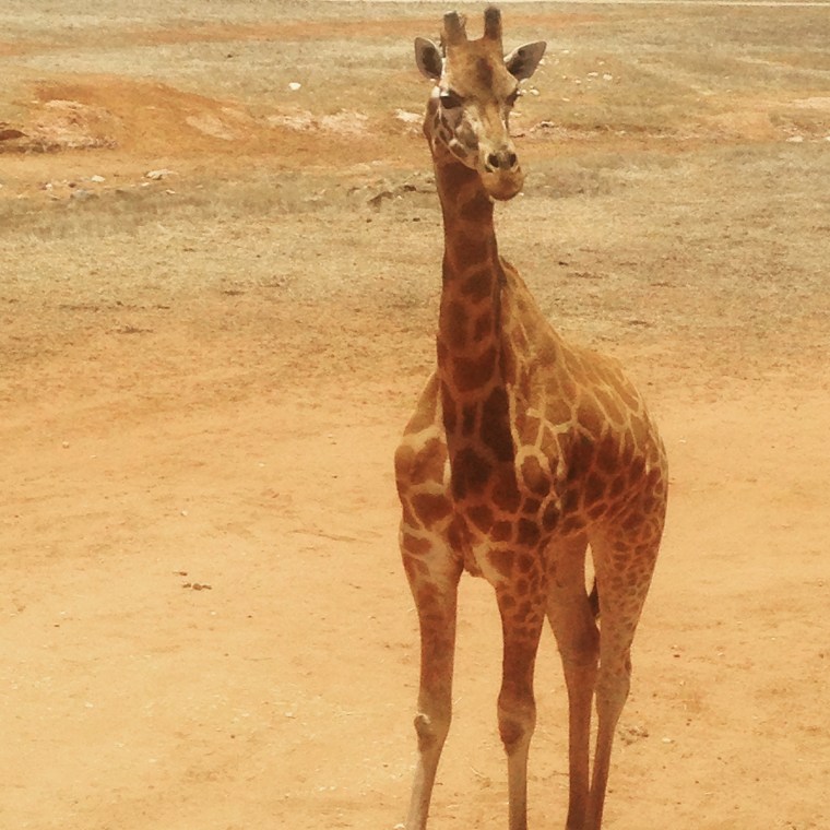 2016-01-01 13.33.11-2.jpg